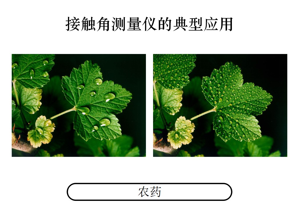 通過測(cè)量接觸角測(cè)量?jī)x測(cè)量特殊產(chǎn)品：如樹葉的潤(rùn)濕情況 